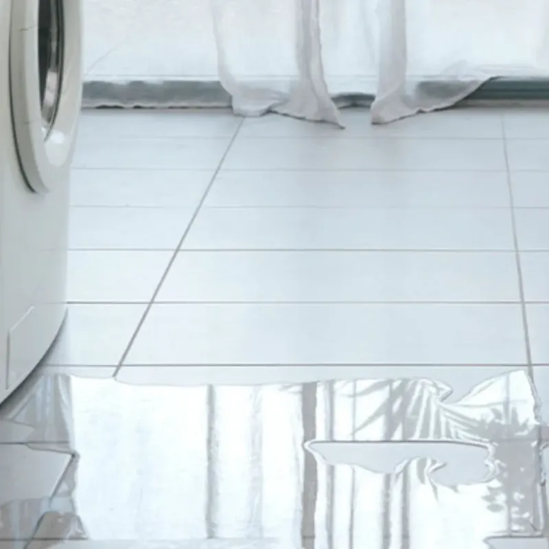 Appliance Leak Cleanup in Nash County, NC