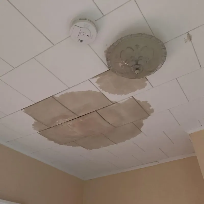 Ceiling Water Damage Repair in Nash County, NC