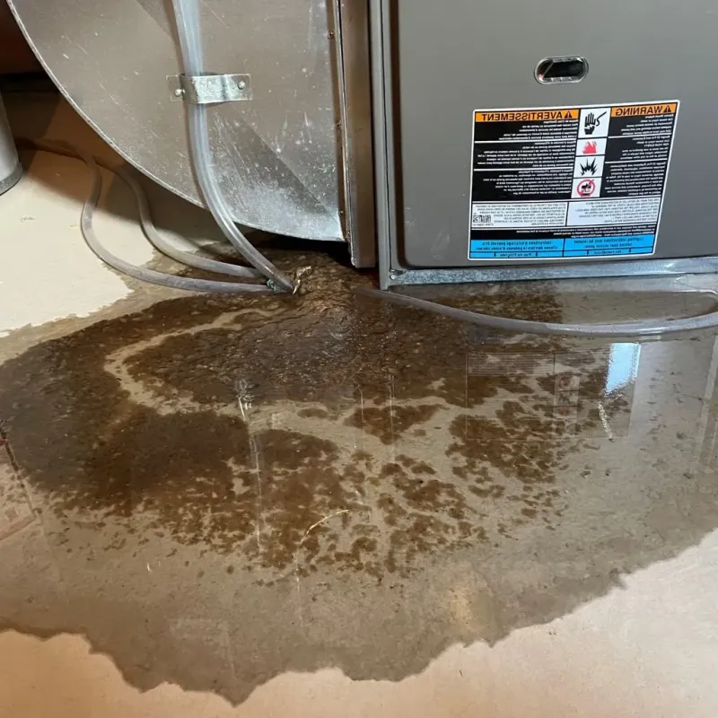 Pipe Burst and Leak Restoration in Nash County, NC