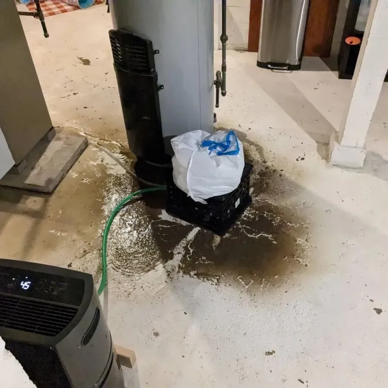 Sewage Backup Cleanup Service in Nash County, NC